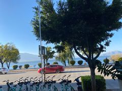-野菌皇海景野生菌火锅(滨海大道店)