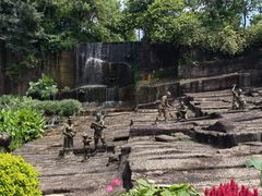 -广州莲花山旅游区