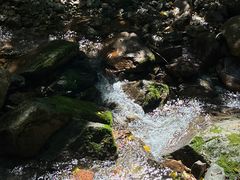 -本溪汤沟绿石谷森林公园