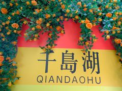-千岛湖东南湖区