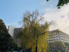 -西南交通大学(九里校区)