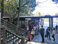 -金盆阿嬷香菇茶叶蛋(玄光店)