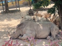 -西安秦岭野生动物园