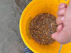 -东戴河风景区-止锚湾