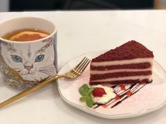 -飞行喵MR PILOT|猫舍·猫咖(静安大融城店)