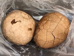 香菇茶叶蛋-金盆阿嬷香菇茶叶蛋(玄光店)