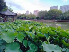 -光明港公园