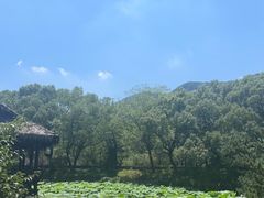 -兰亭风景区