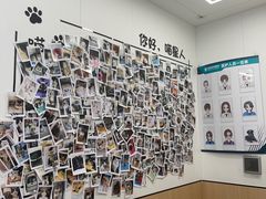 -瑞派·关忠动物医院·猫专科·犬专科(三环新城店)