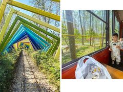 -合肥滨湖国家森林公园