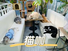 -小时光咖啡馆(北锣鼓巷店)