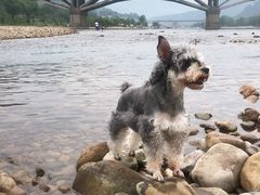 -楠溪江风景名胜区