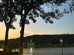 -羊山湖公园