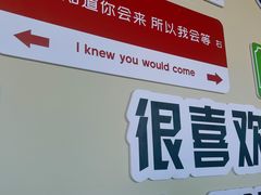 -琴岛之星摩天轮
