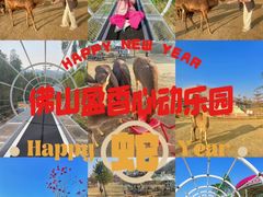-盈香心动乐园