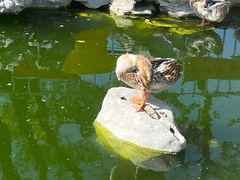 -龙华寺