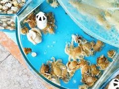 -晓伟海鲜家常菜