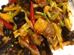 泡椒仔姜鲜牛肝-伊兰麒兰馨园·川菜·清真馆(339电视塔店)