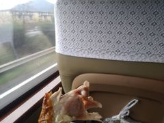 -吴山烤禽 (吴山路店)