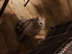 -不舍昼夜咖啡馆