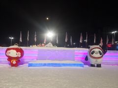 -沈阳奥体冰雪嘉年华