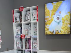 -关爱宠物医院·猫科中心·消化科(滨湖万达分院)