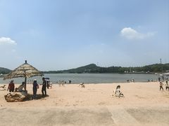 -上海月湖雕塑公园