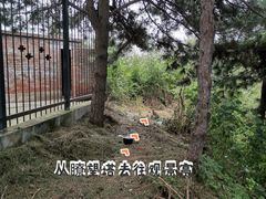 -蟒山国家森林公园-停车场
