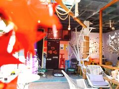 -喵屿·大理花园猫咖