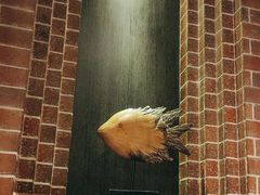 -永安鱼庄·镇江菜(东吴路店)