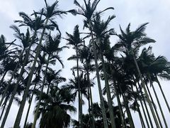 -海底捞火锅(威高广场店)