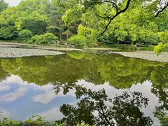 -杭州植物园