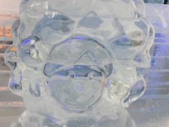 -长沙湘江冰雪世界