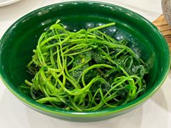 白灼橄榄菜苗-南八仙·老上海味道(南京东路店)