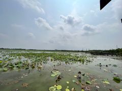 -天津东丽湖风景区