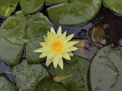 -成都杜甫草堂博物馆