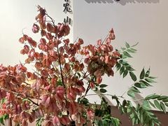 -luutosa  cafe & tea 鹿兔山