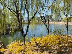 -大兴滨河森林公园