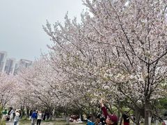 -堤角公园