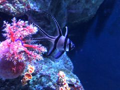 -成都浩海立方海洋公园