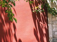 -西安市广仁寺