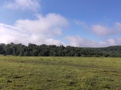 -御道口草原森林风景区