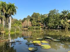 -中国科学院西双版纳热带植物园