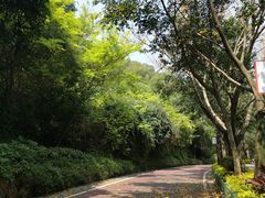 -金鸡山公园
