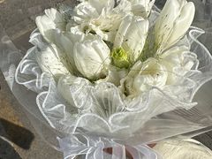 -武汉花鸟市场