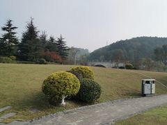 -铁山坪森林公园