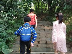 -广东中医药博物馆