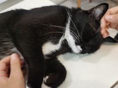 -小时光咖啡馆(北锣鼓巷店)