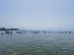 -小石岛景区