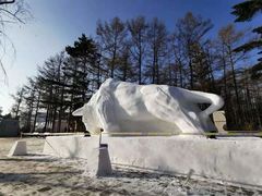 -长春市南湖公园